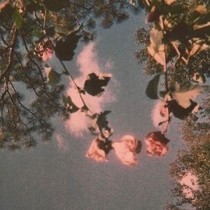 Meet your Posher, Bri